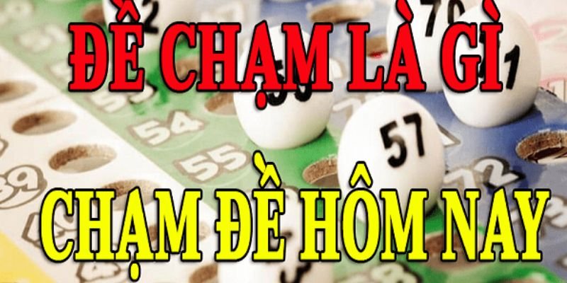 Cách bắt chúng từng ngày sao cho hiệu quả