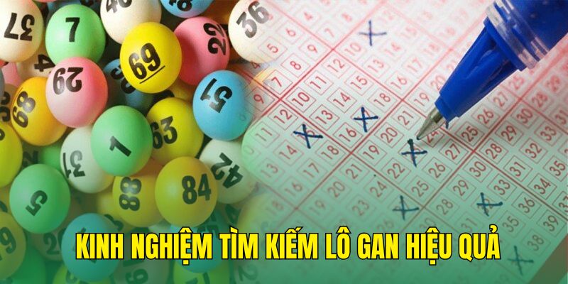 Kinh nghiệm chinh phục lô gan hiệu quả cho thành viên