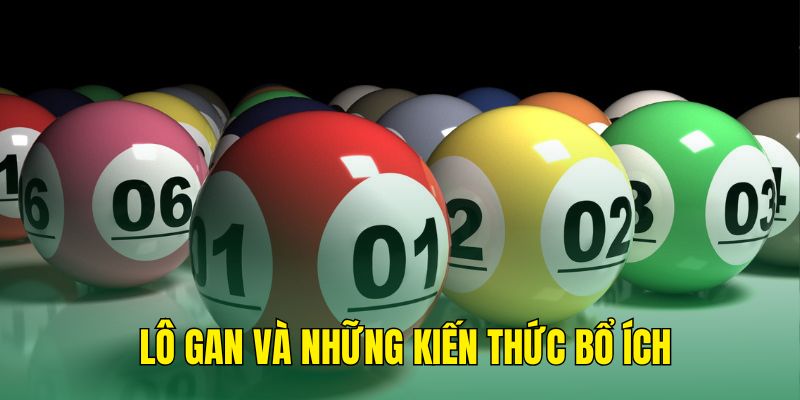 Lô gan là gì