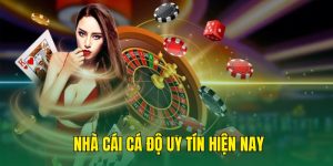 nhà cái cá độ uy tín