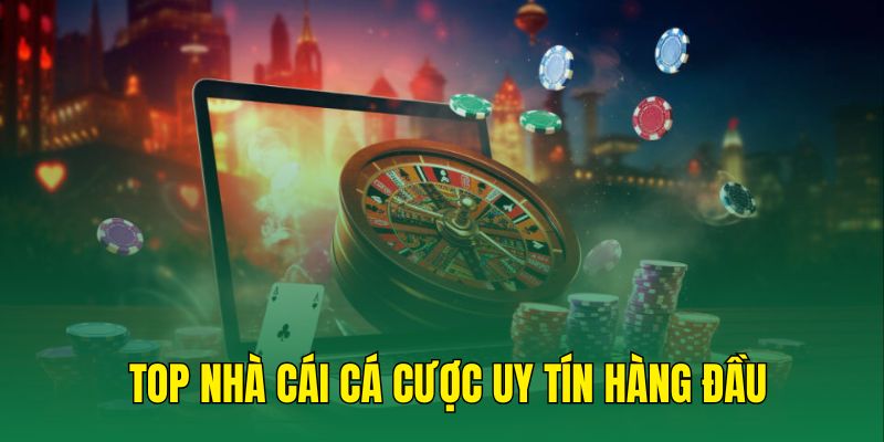 Top 5 thương hiệu cá cược trực tuyến hàng đầu