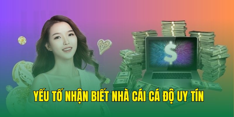Các yếu tố nhận diện nhà cái cá độ uy tín