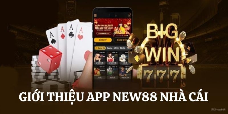 Sơ lược app nhà cái New88 trên smartphone