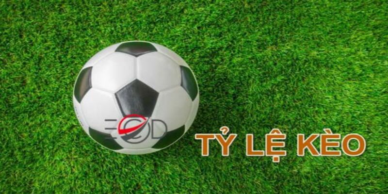 Nên hiểu tỷ lệ kèo bóng đá là gì?